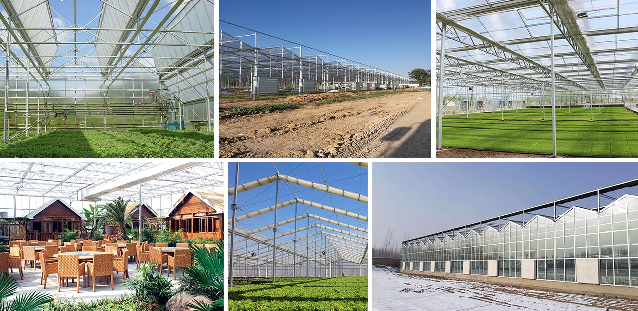 青州市头号玩家娱乐平台温室工程有限公司